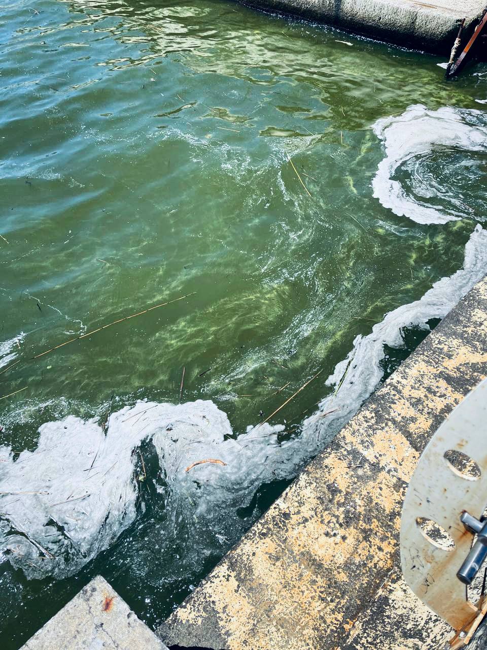 Моніторинг морської води в Одесі