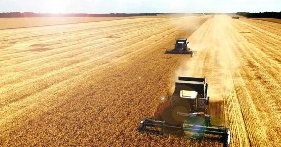 Врожай зерна в Одеській області перевищив минулорічний